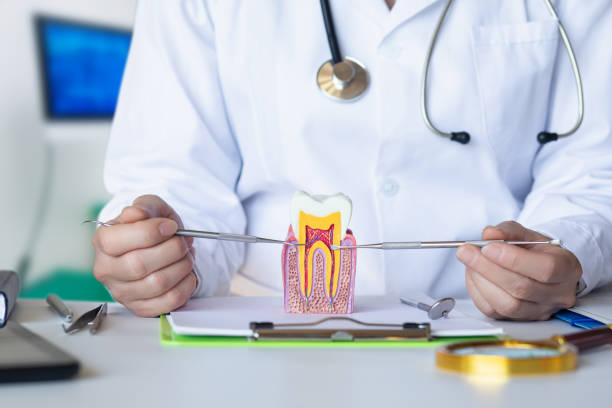 Best Orthodontic Emergency Dentist in Lake Nacimiento, CA